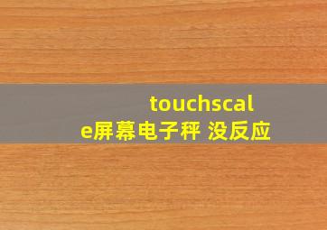 touchscale屏幕电子秤 没反应